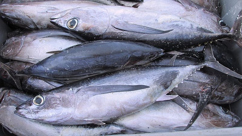 Aquatic Products